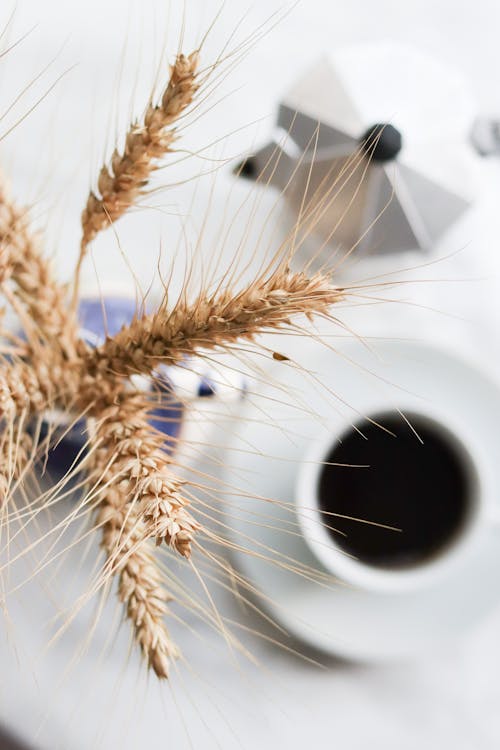 Free Dried wheat near cup of coffee Stock Photo