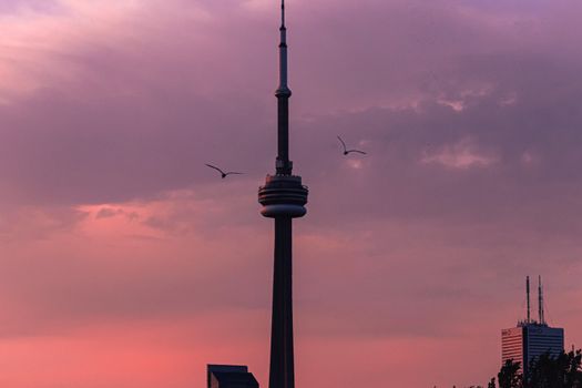 CN Tower Close-up Against a Pink Sunset Sky, Toronto, Canada 