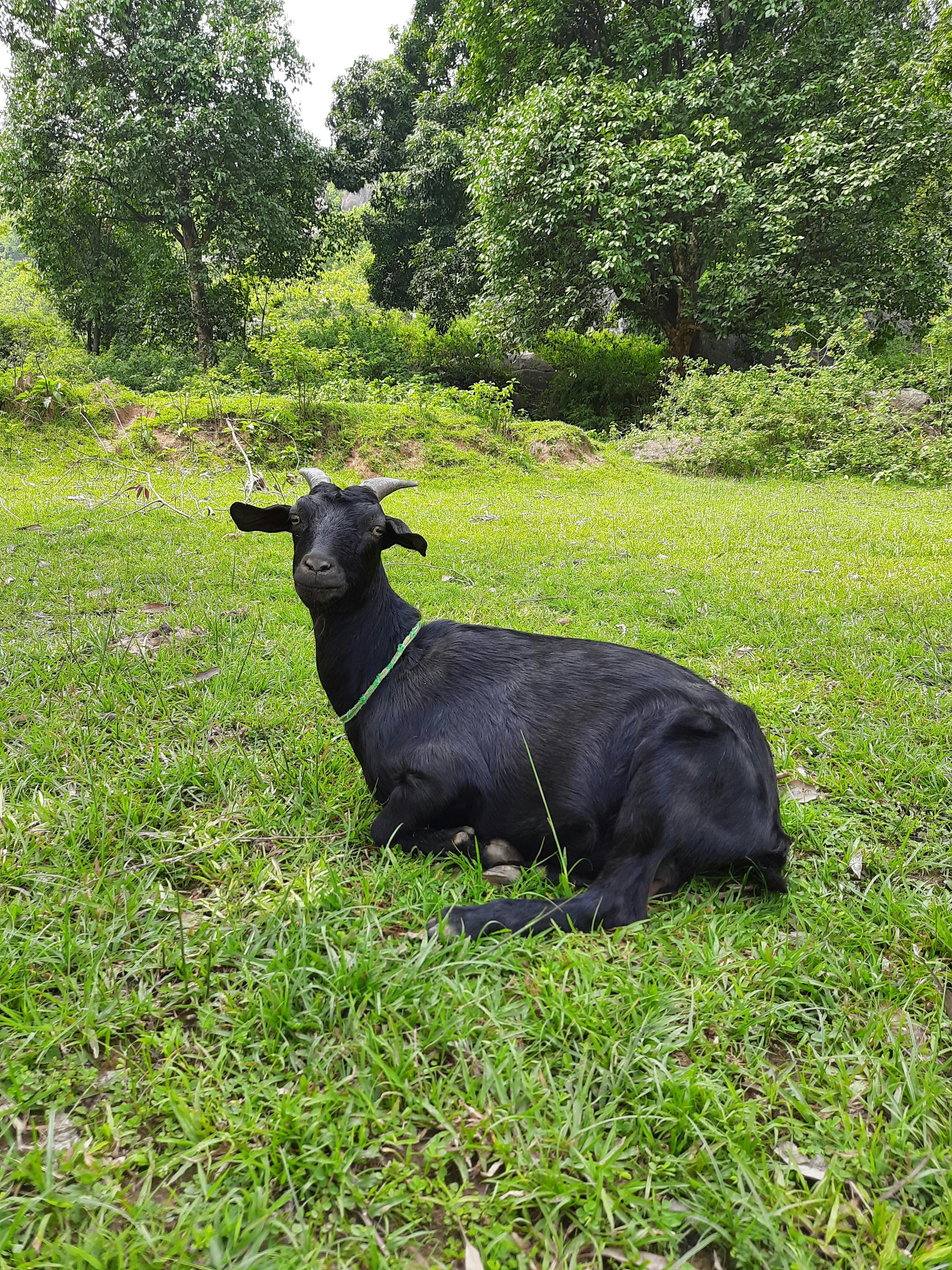 Expecting parents holding hands during a prenatal consultation with a doctor