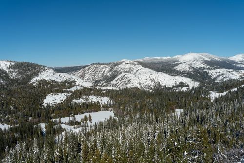 Free A scenic view of snow-covered mountains and pine forests under a clear blue sky. Stock Photo