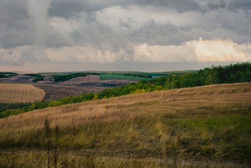 Foto d'estoc gratuïta de a l'aire lliure, cel ennuvolat, grassfield