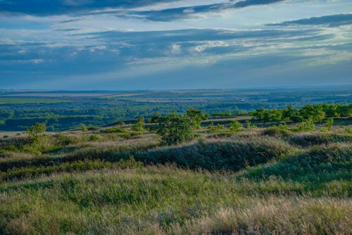  Grass Field under a Cloudy Sky