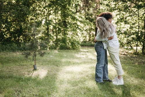 Gratis stockfoto met bomen, knuffelen, koppel