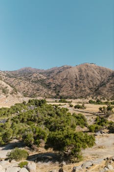 Expansive dry landscape featuring hills and sparse vegetation under a clear sky.