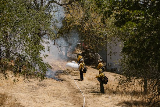 Photo by RDNE Stock project Firefighters in protective gear combat a wildfire in a dry, wooded area with visible smoke.