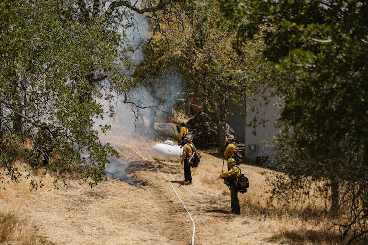 Firefighters On Brown Grass Field