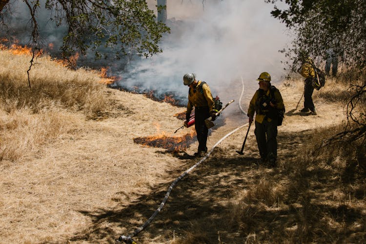 Firefighters On Brown Grass Field