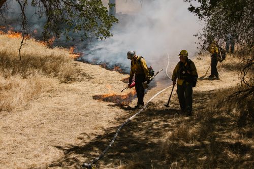 Free Wildfire fighters in action suppressing flames in a dry forest area. Stock Photo