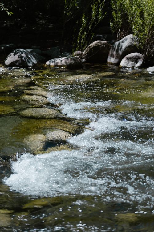 Free Peaceful rocky creek with gentle flowing water in a lush natural setting. Stock Photo