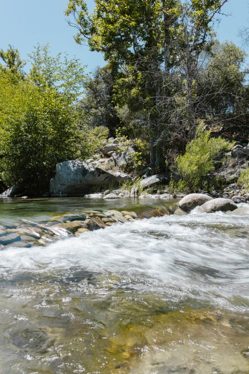 Free A clear river flows through a lush green forest, surrounded by rocks and trees in a tranquil setting. Stock Photo