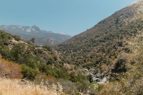 Free Explore a serene mountain valley with dense foliage and clear skies. Perfect for nature enthusiasts. Stock Photo