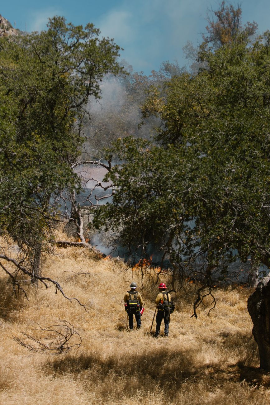 VEGETATION FIRE