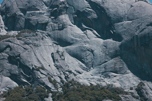 Trees Under the Gray Rocky Mountain