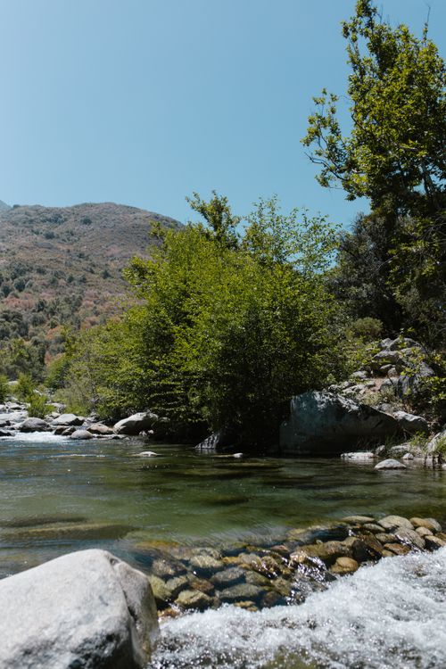 Free Peaceful mountain river amidst green trees and rocks under a clear blue sky. Stock Photo