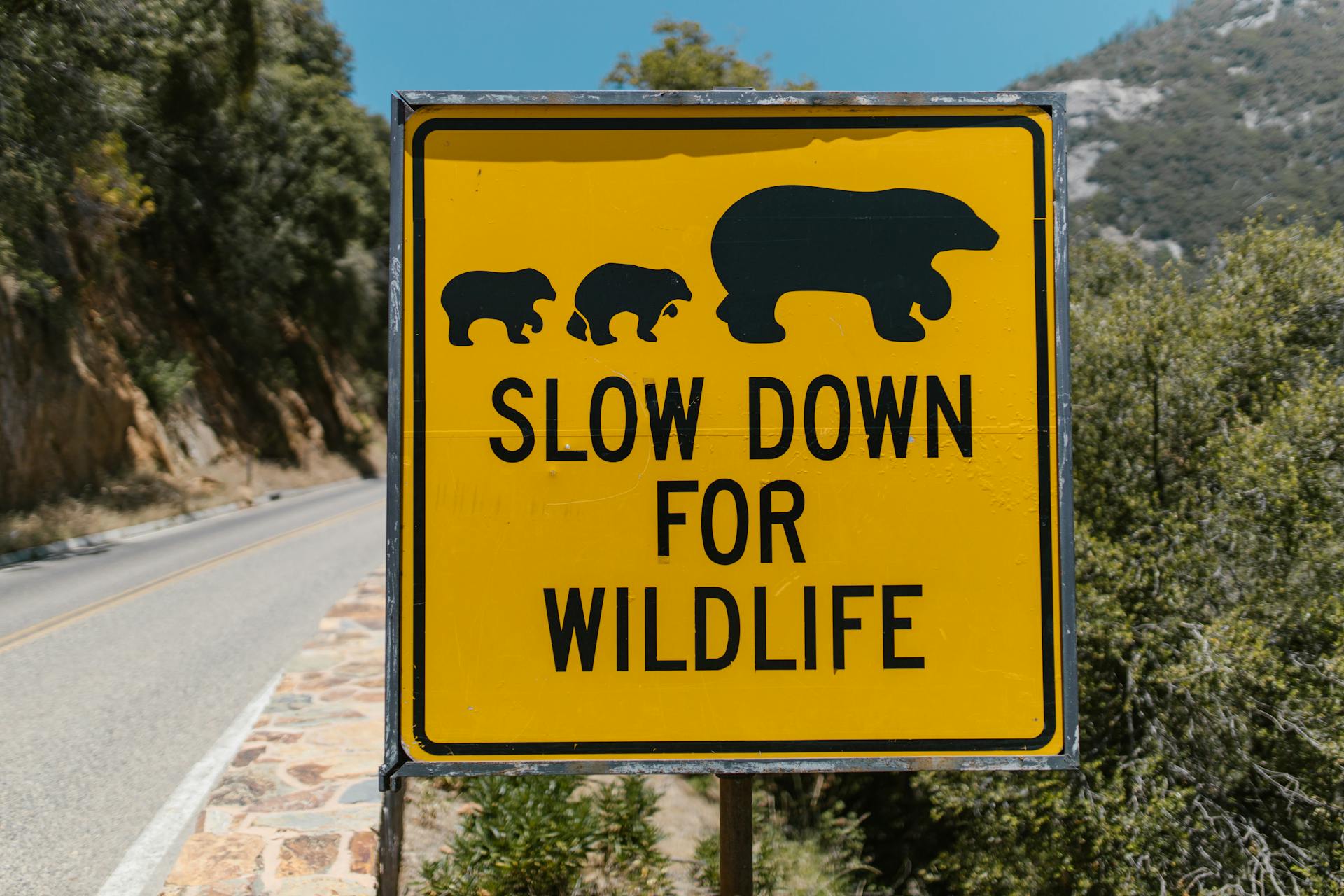 Yellow Waring Sign on the Road