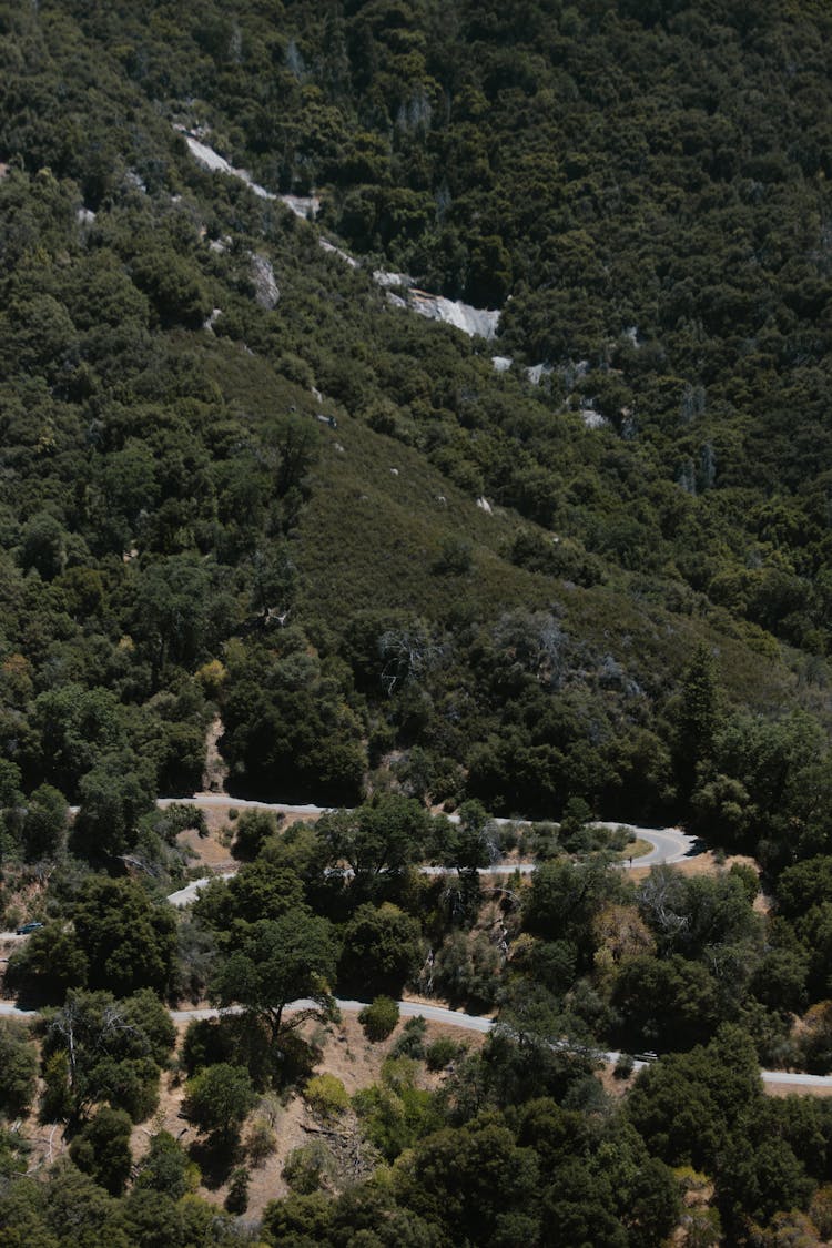 Zigzag Road In The Mountain