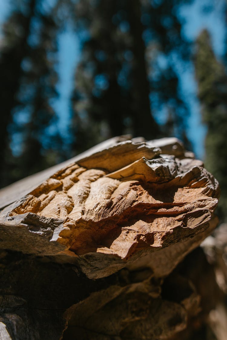 Rough Surface Of A Broken Rock