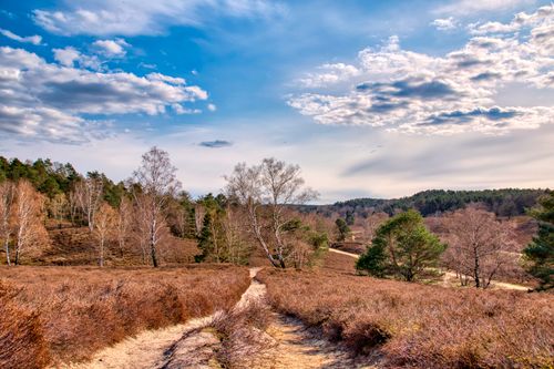 Free A beautiful footpath winding through lush spring countryside with trees and a vibrant sky. Stock Photo