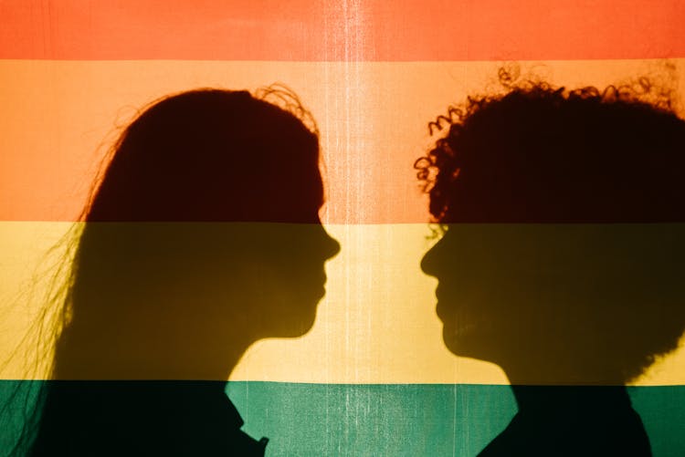 Silhouette Of Two Women Behind A Rainbow Flag 