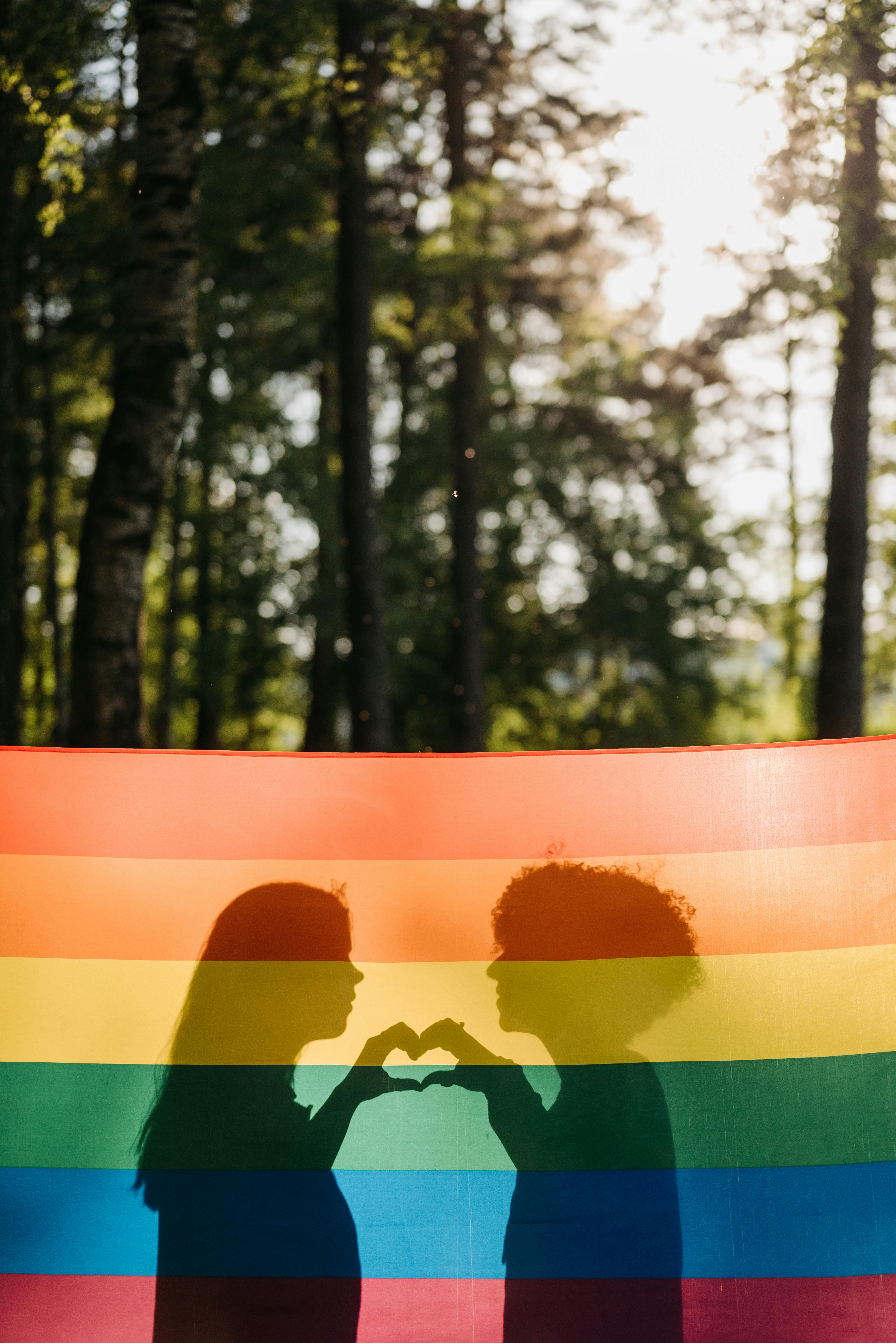 women shadow on a flag