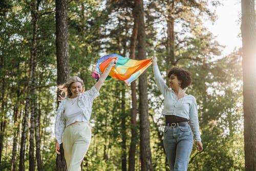 Immagine gratuita di alberi, bandiera arcobaleno, boschi