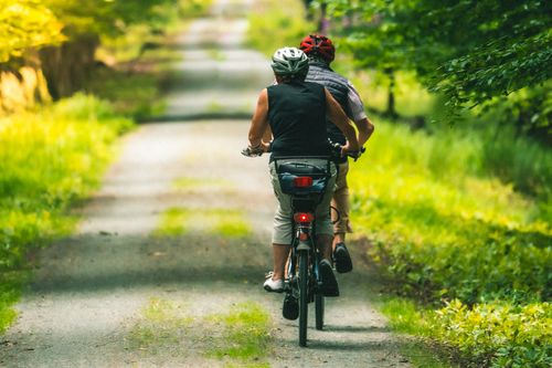 Free Two adults cycling on an unpaved forest road, basking in summer's green scenery. Stock Photo