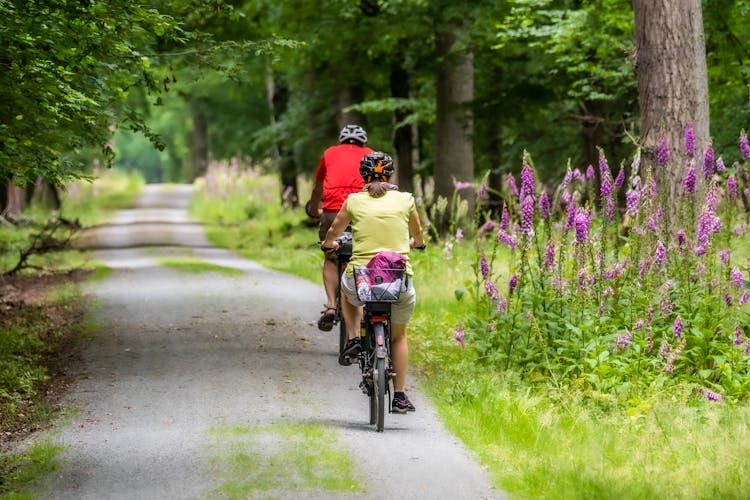 Woman And Man Cycling In Forest