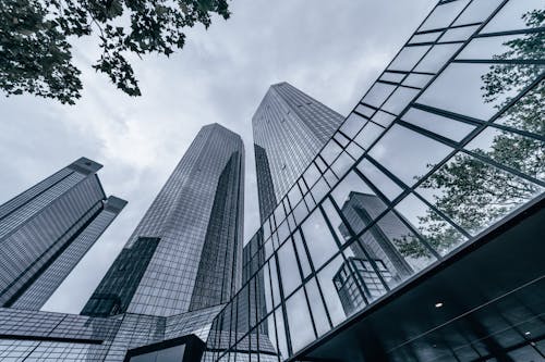 Fotos de stock gratuitas de acero, árbol, arquitectura