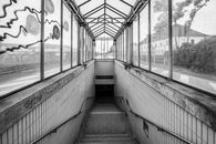 Grayscale Photo of Concrete Stairs