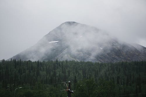 Darmowe zdjęcie z galerii z drzewa, fotografia krajobrazowa, góra
