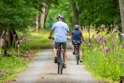 Free Two cyclists enjoying a scenic ride on a forest trail surrounded by wildflowers on a summer day. Stock Photo