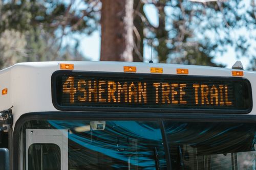 Free Close-up of a bus with Sherman Tree Trail as its destination in a natural park setting. Stock Photo