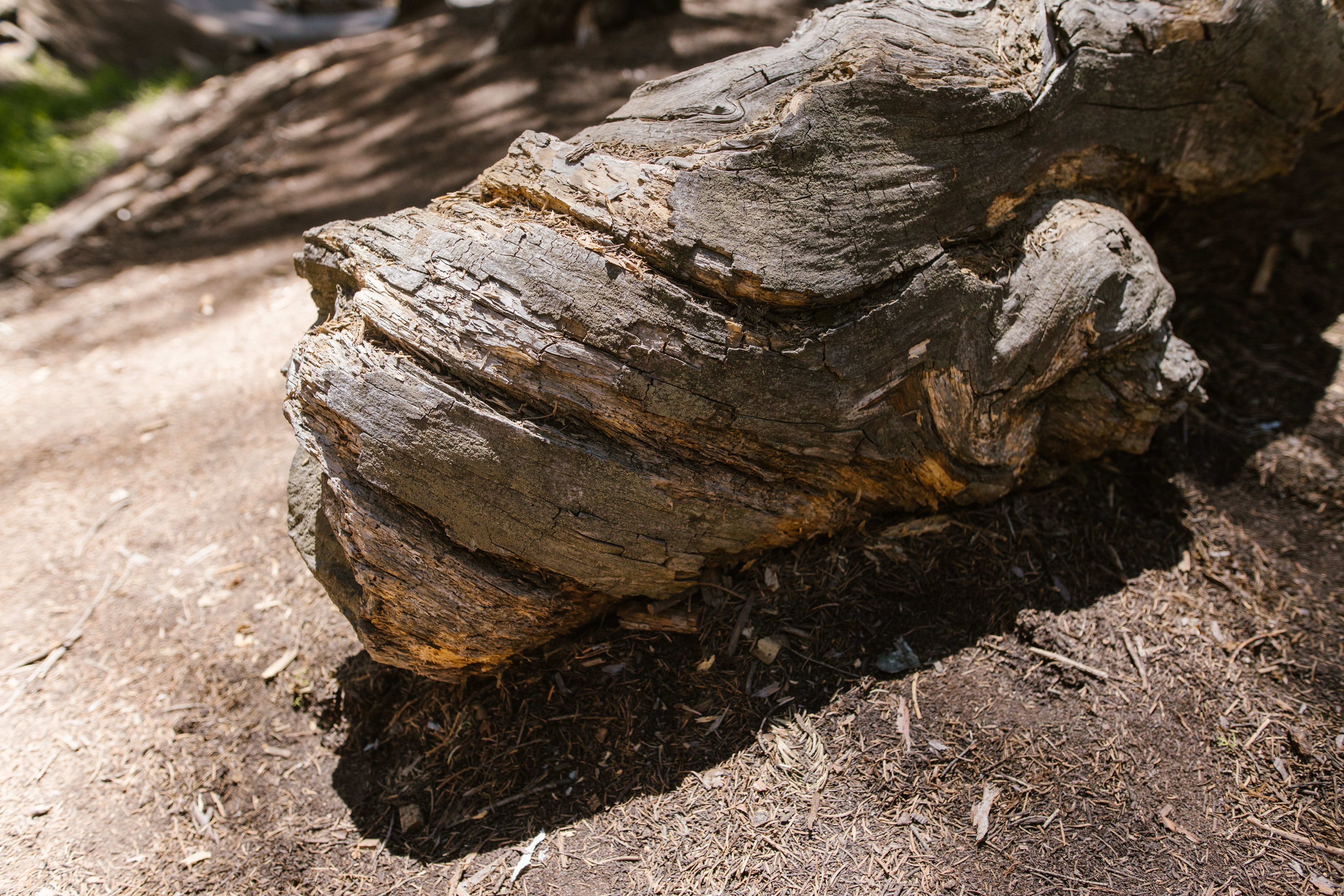 Landmarks in Sequoia And Kings Canyon National Park