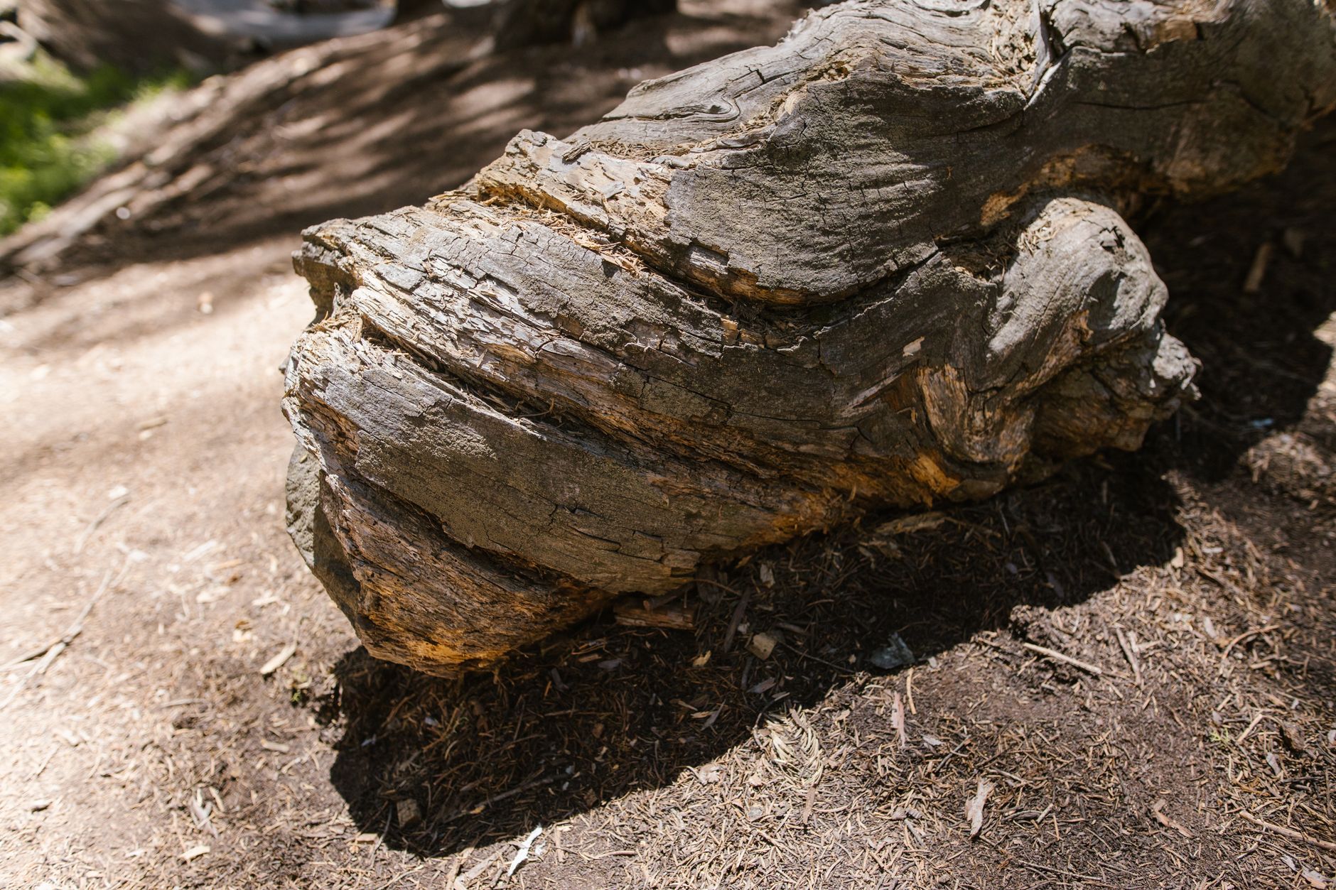 Popular sights in Sequoia And Kings Canyon National Park Landmarks in Sequoia And Kings Canyon National Park