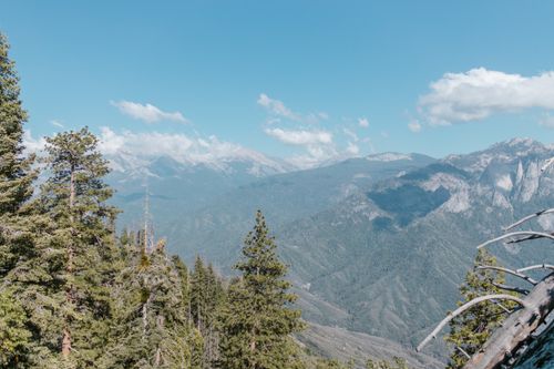 Free Experience the majestic view of a vast mountain range with lush trees and a clear summer sky. Stock Photo