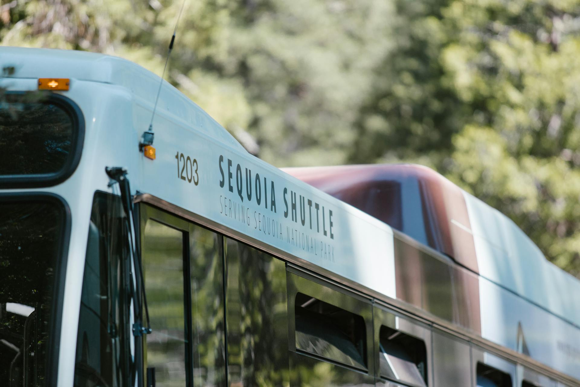 Bus in Sequoia National Park