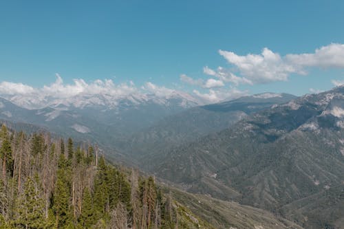 Ücretsiz ağaçlar, bulutlar, dağlar içeren Ücretsiz stok fotoğraf Stok Fotoğraflar