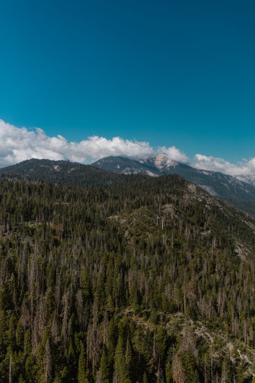 Free Breathtaking aerial view of lush forest and distant mountains under a clear blue sky. Stock Photo