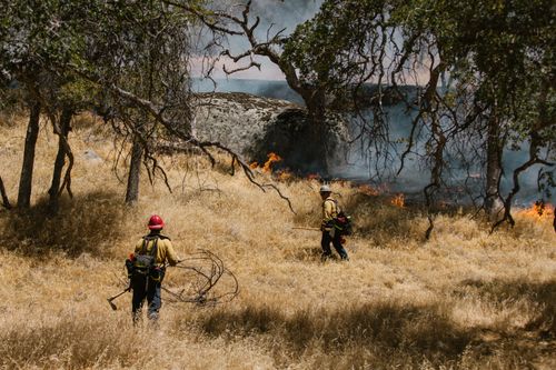 Free Brave firefighters controlling a wildfire in a dry Californian landscape. Stock Photo