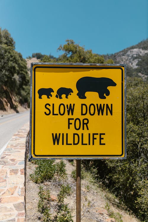 A Yellow Slow Down For Wildlife Signage