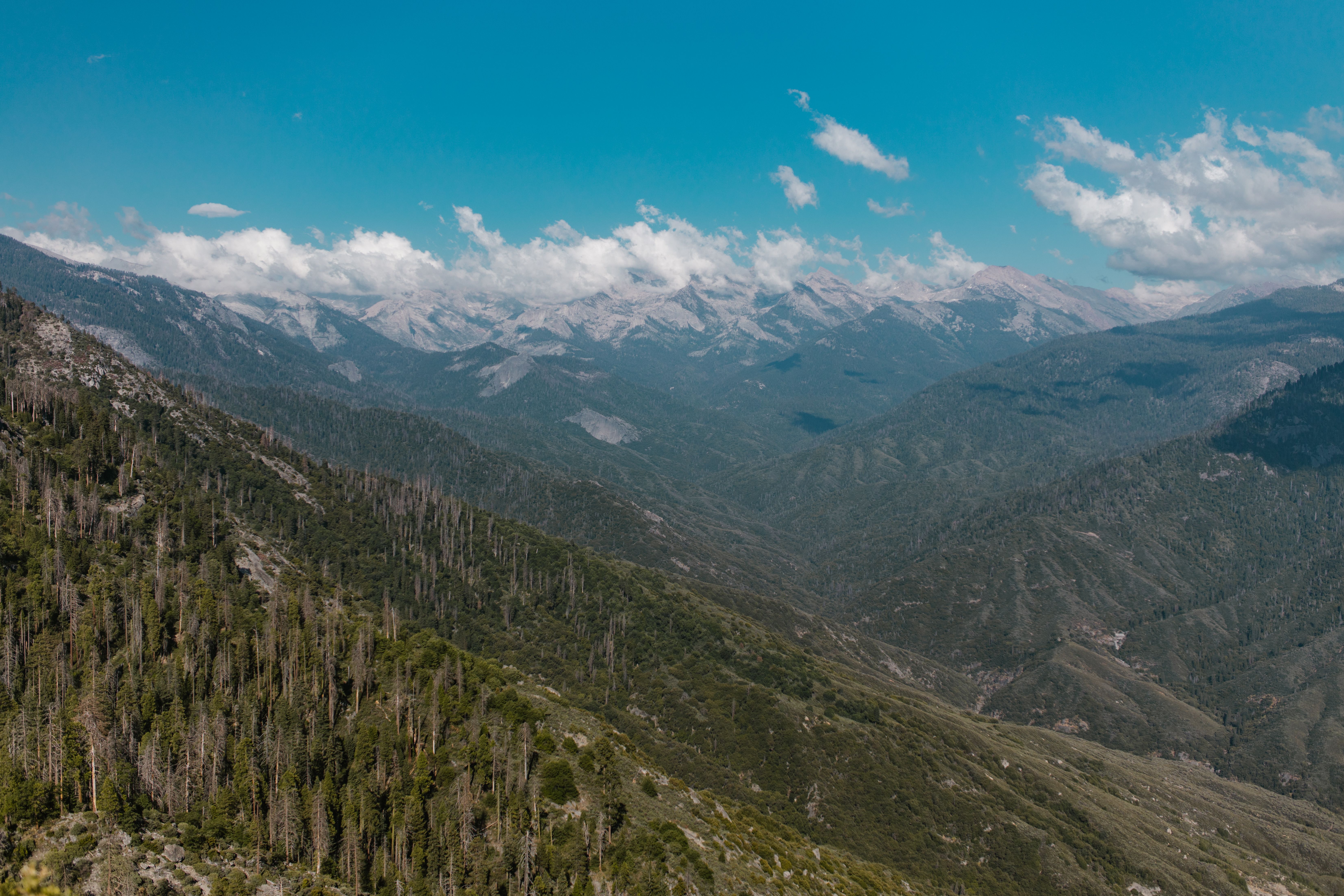 An Aerial Photography of Green Trees on Mountain · Free Stock Photo