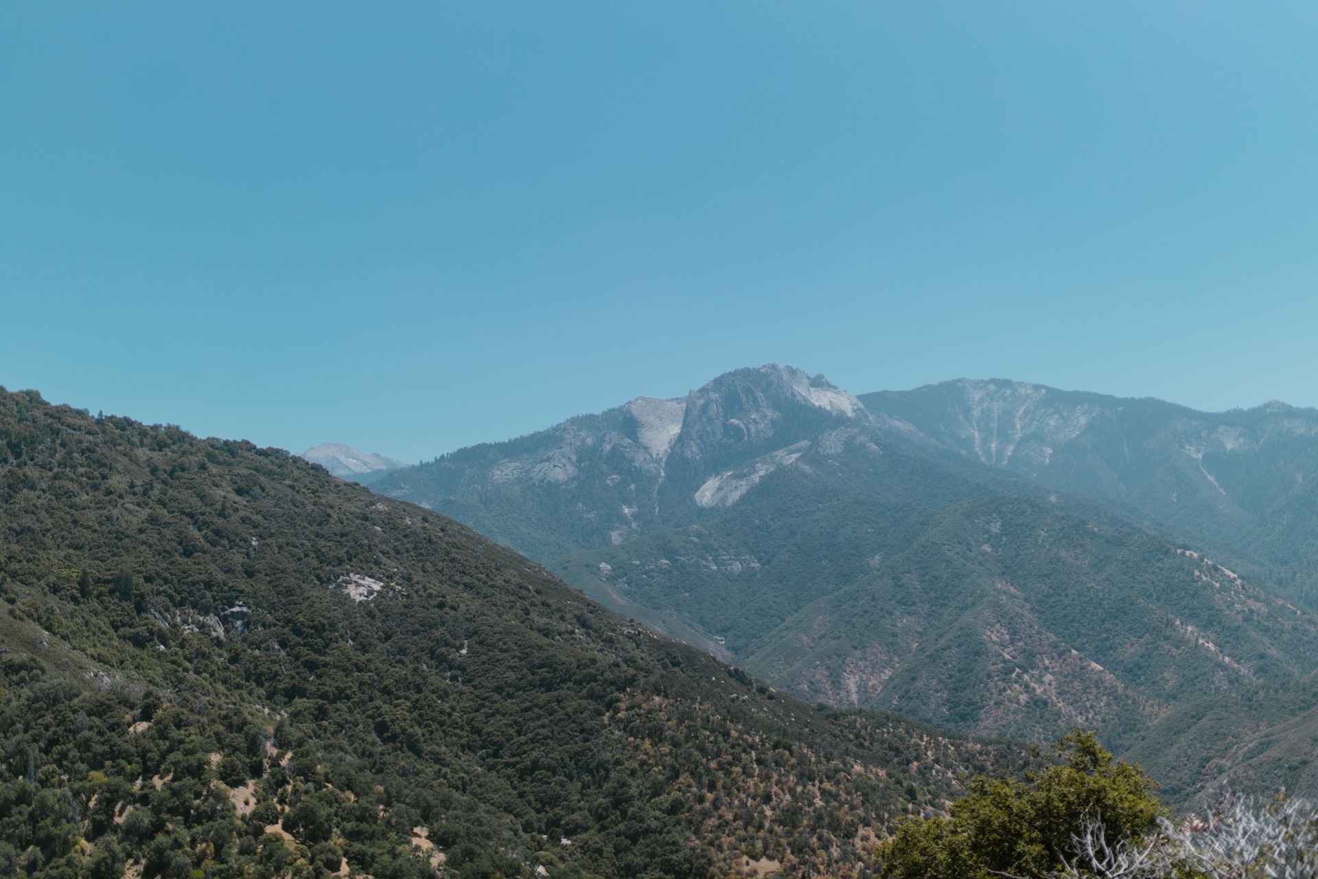 Expansive mountain view with lush greenery under a clear blue sky, perfect for nature enthusiasts.