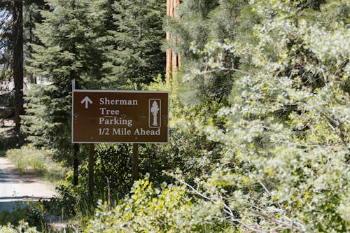 Free A Road Sign at Sequoia National Park Stock Photo