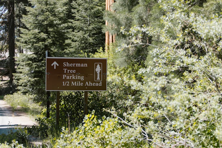 A Road Sign At Sequoia National Park