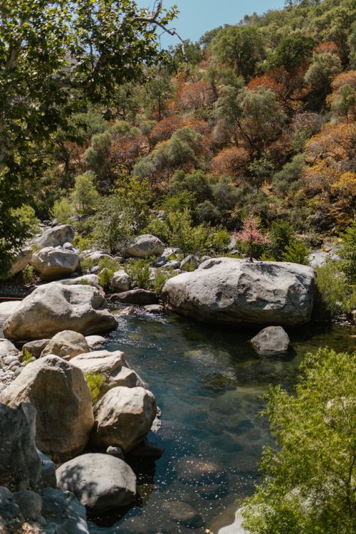 Free Picturesque river view amidst vibrant autumn forest, perfect for nature lovers. Stock Photo