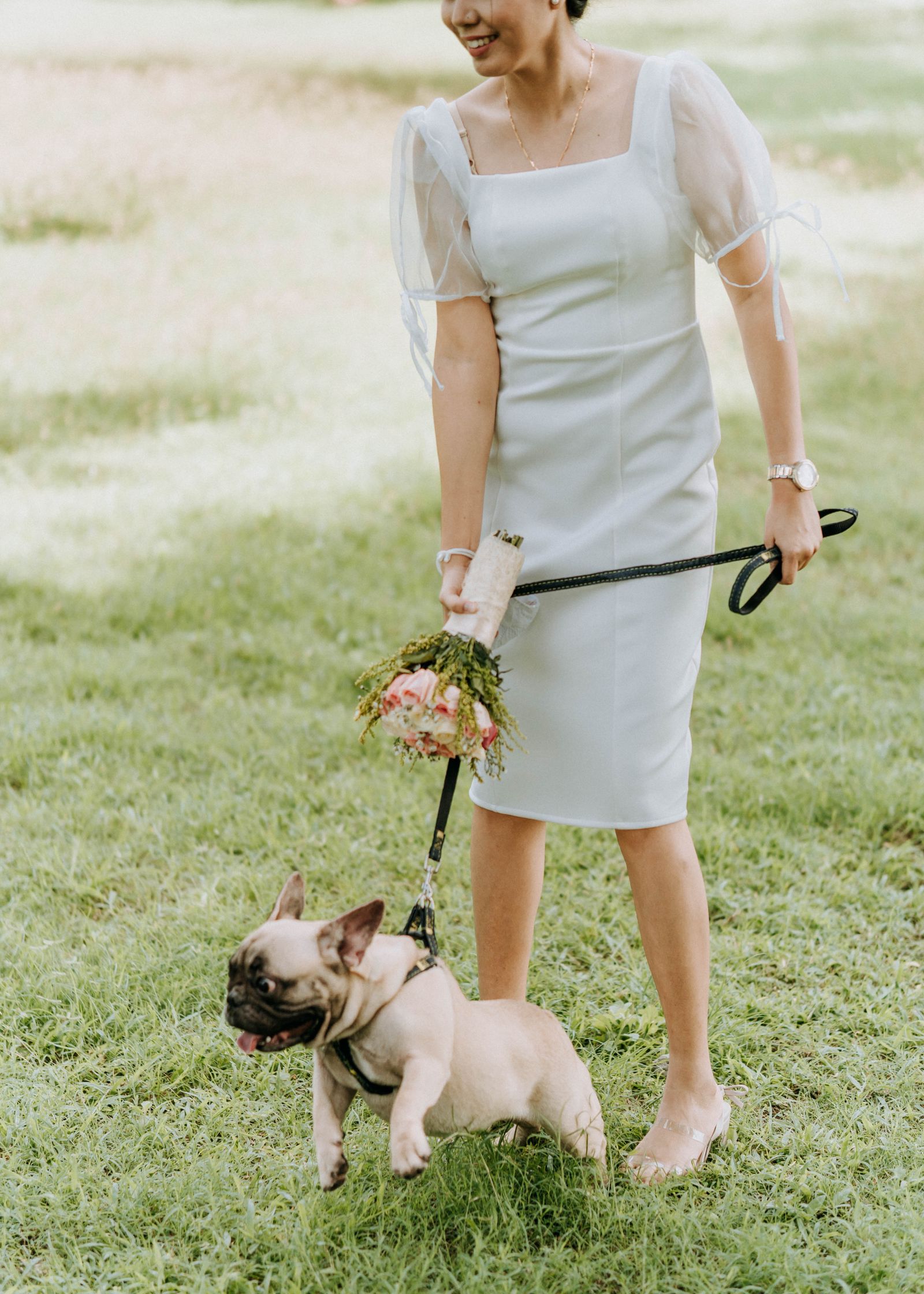 A dog on a leash with its owner, heading out