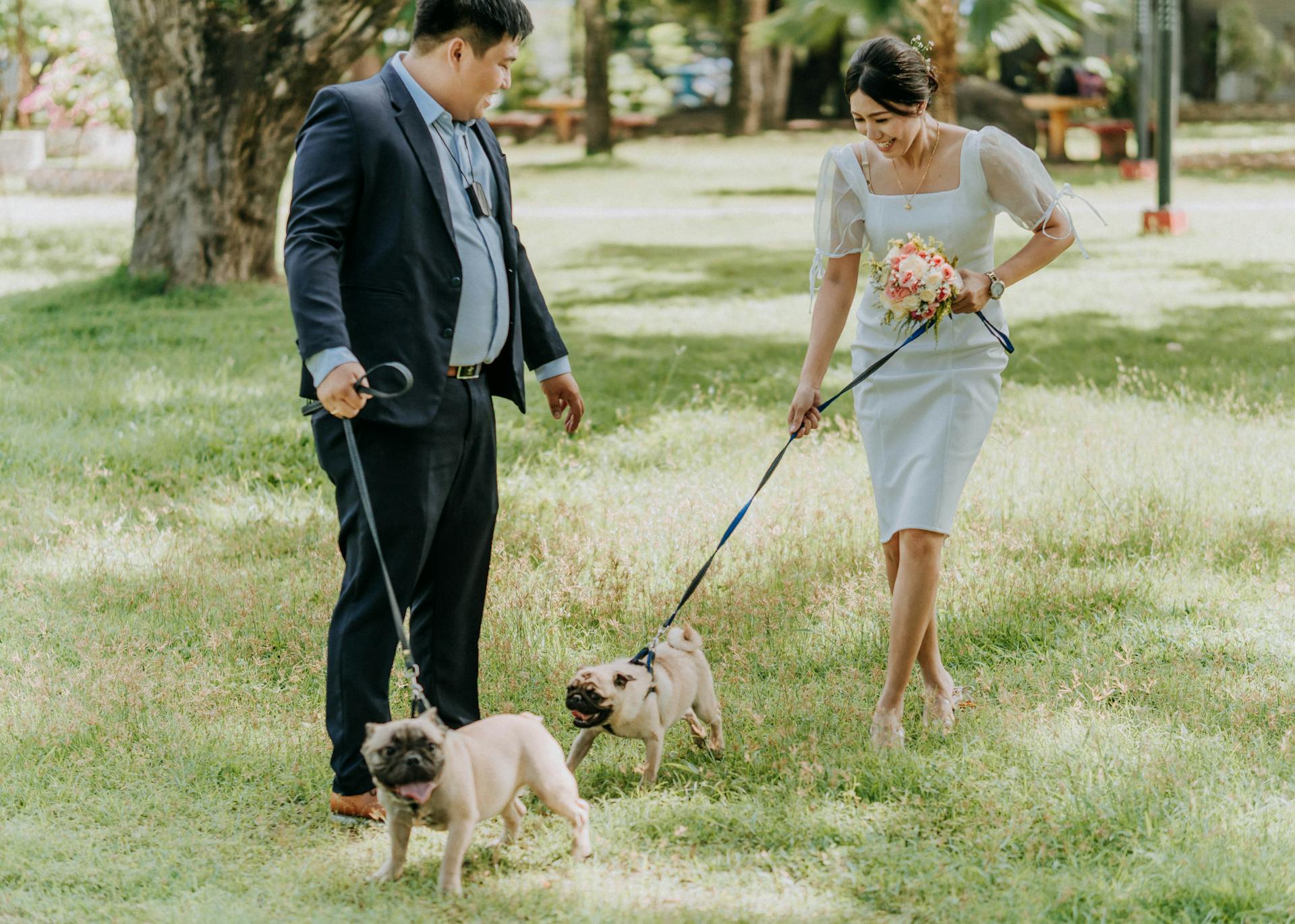 A Man and a Woman with their Pet Dogs