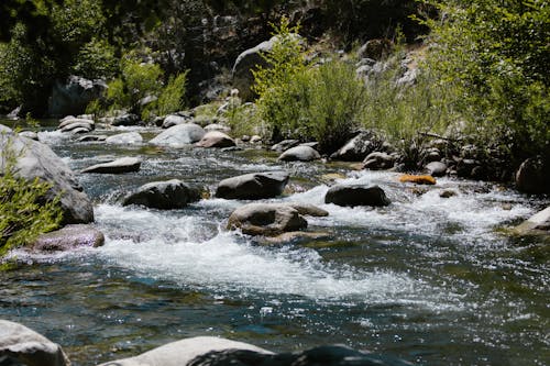 A Body of Water at Sequoia National Park