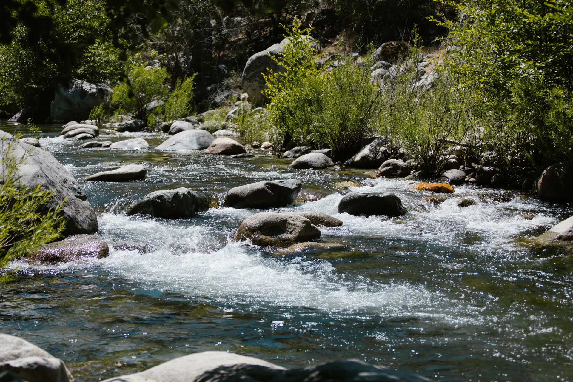 A river flowing over rocks through green forest. A river flowing over rocks through green forest.