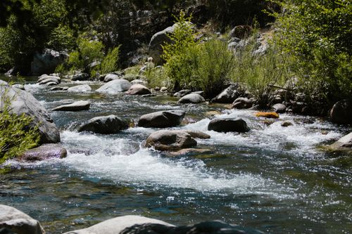 Free A serene river flowing through a verdant forest with rocks and greenery. Stock Photo